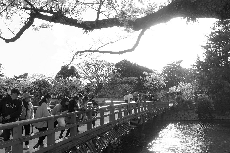 Ricoh GR DIGITAL 4 sample photo. R photography