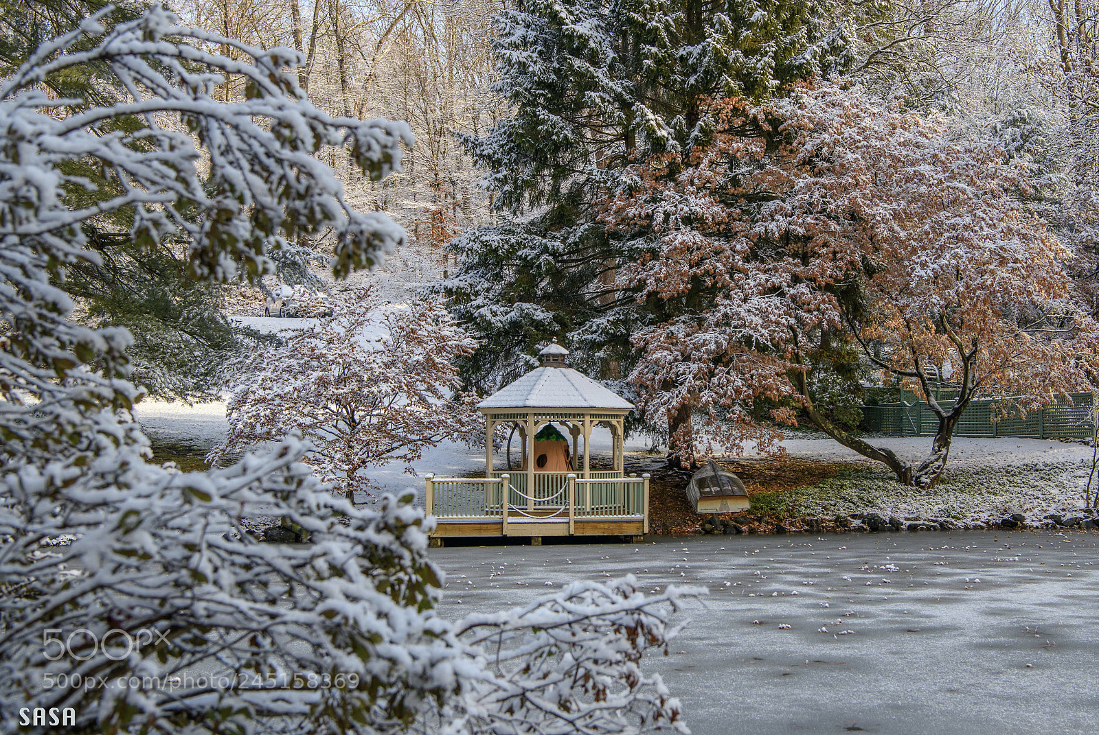 Nikon D850 sample photo. After snow photography