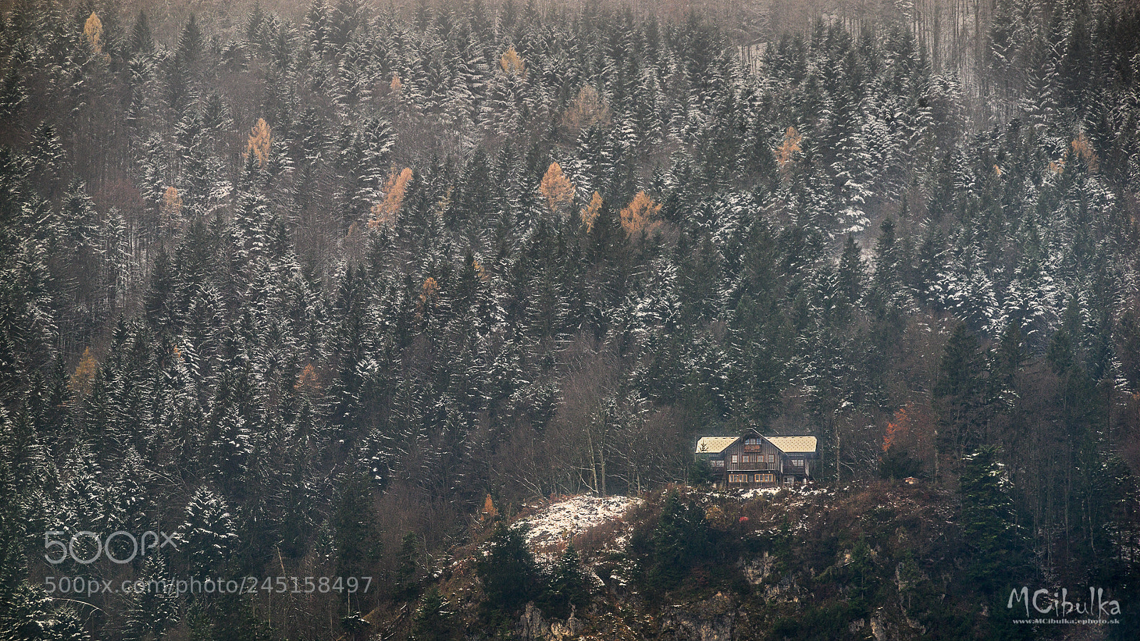 Sony a7R sample photo. House in the woods photography
