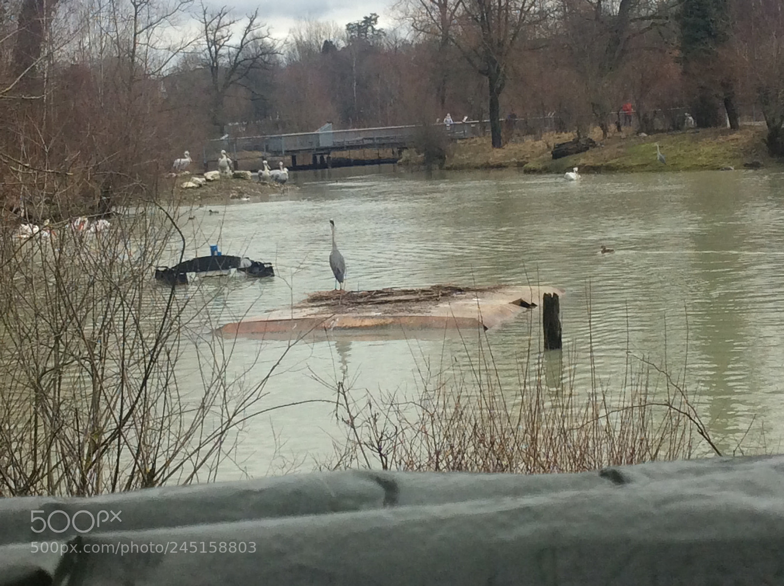Apple iPad Air sample photo. Tierpark bern - berne photography