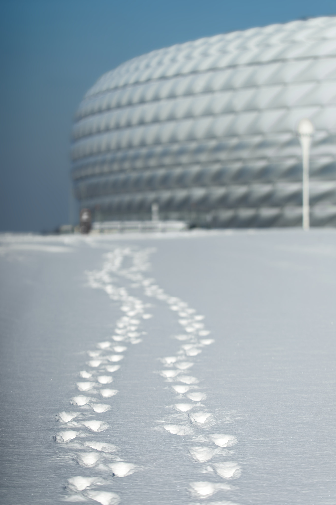Sony a7 II + Canon EF 80-200mm f/2.8L sample photo. Footprints photography