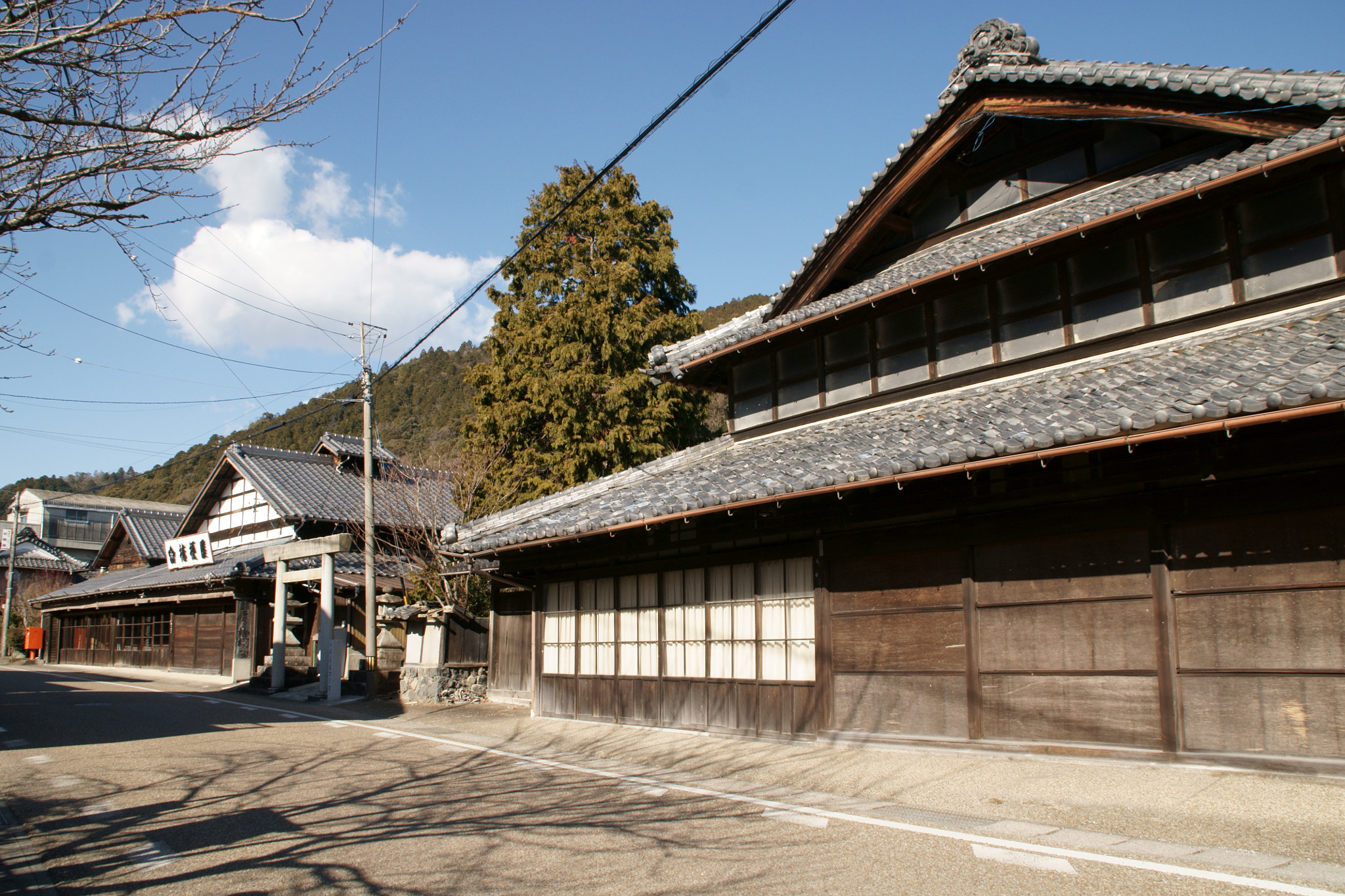 Sony DT 18-200mm F3.5-6.3 sample photo. 多度大社の参道にて photography