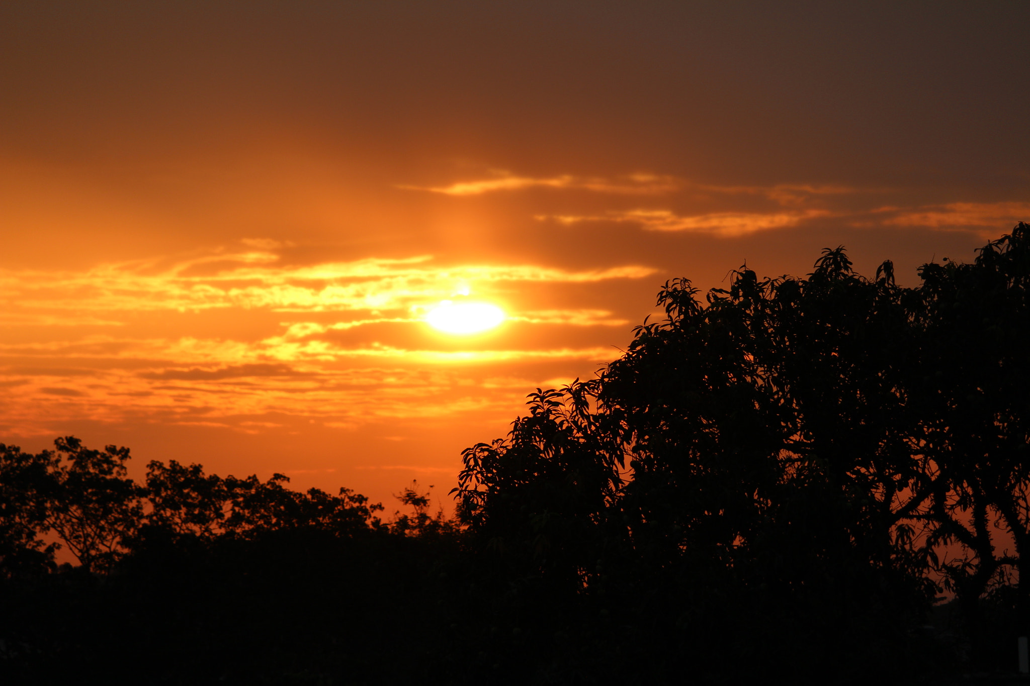 Canon EF-S 55-250mm F4-5.6 IS STM sample photo. Img photography