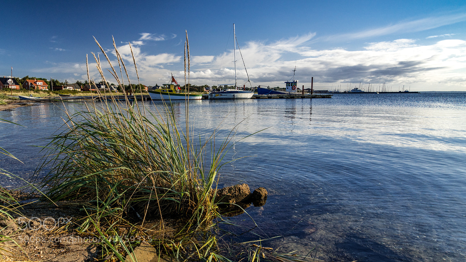 Sony ILCA-77M2 sample photo. A calm day at photography