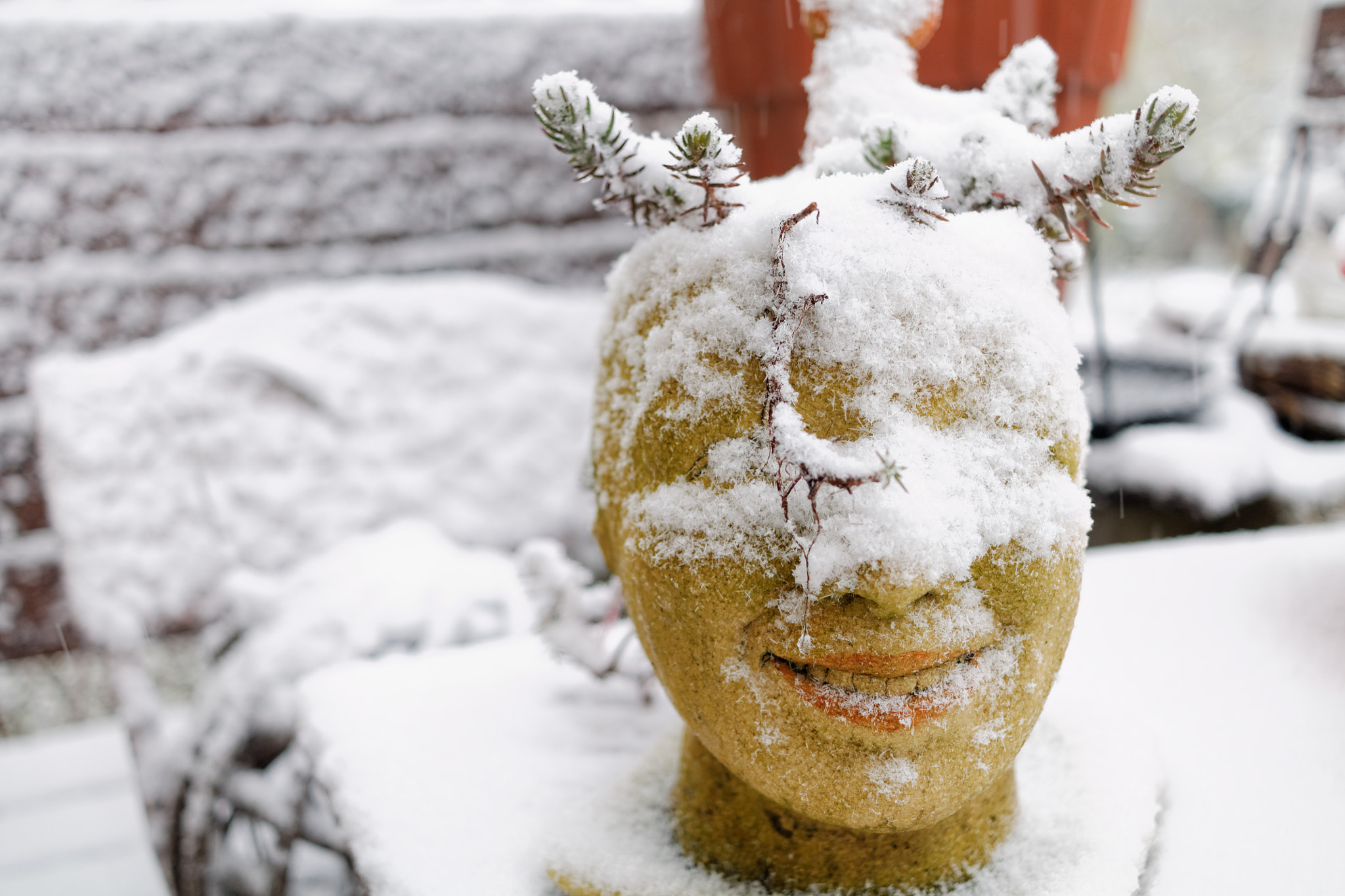 Canon EF-S 24mm F2.8 STM sample photo. Winter   face photography