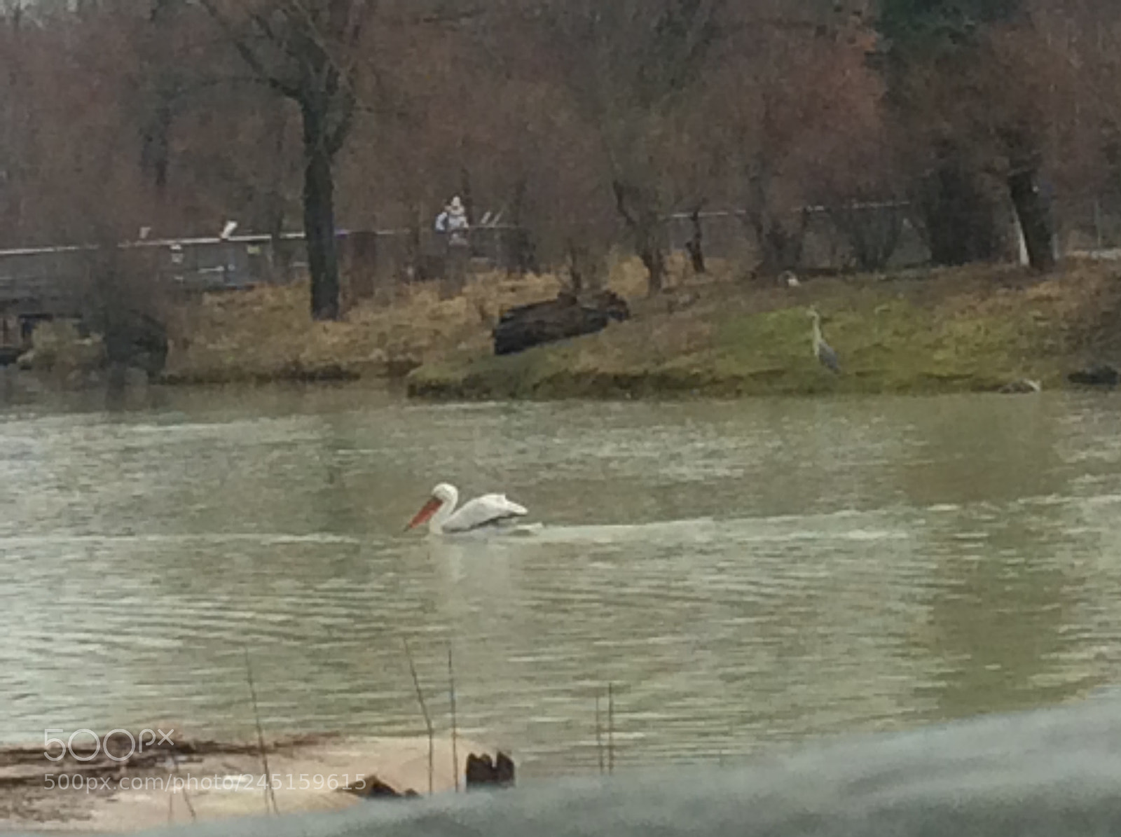 Apple iPad Air sample photo. Tierpark bern - berne photography
