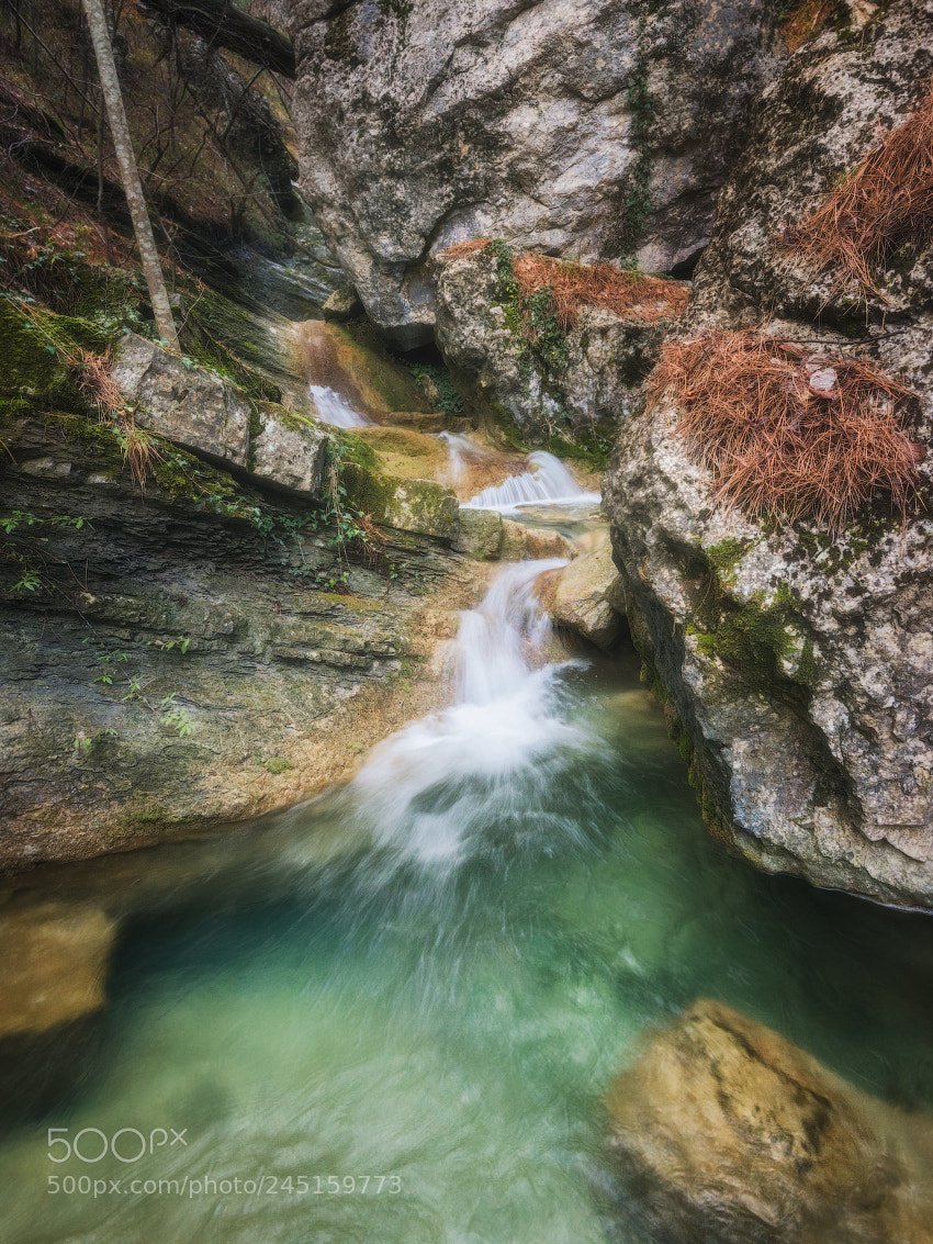 Nikon D800 sample photo. Waterfalls of temiar photography