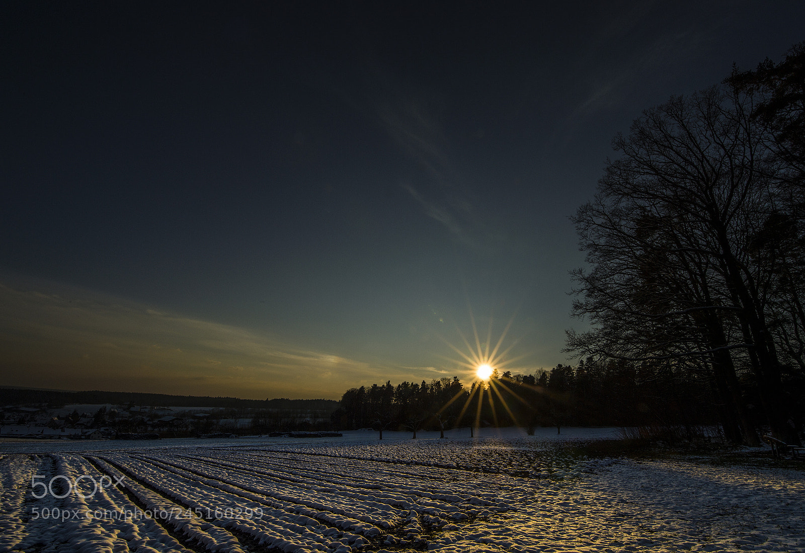 Nikon D4 sample photo. Winter sunset at the photography