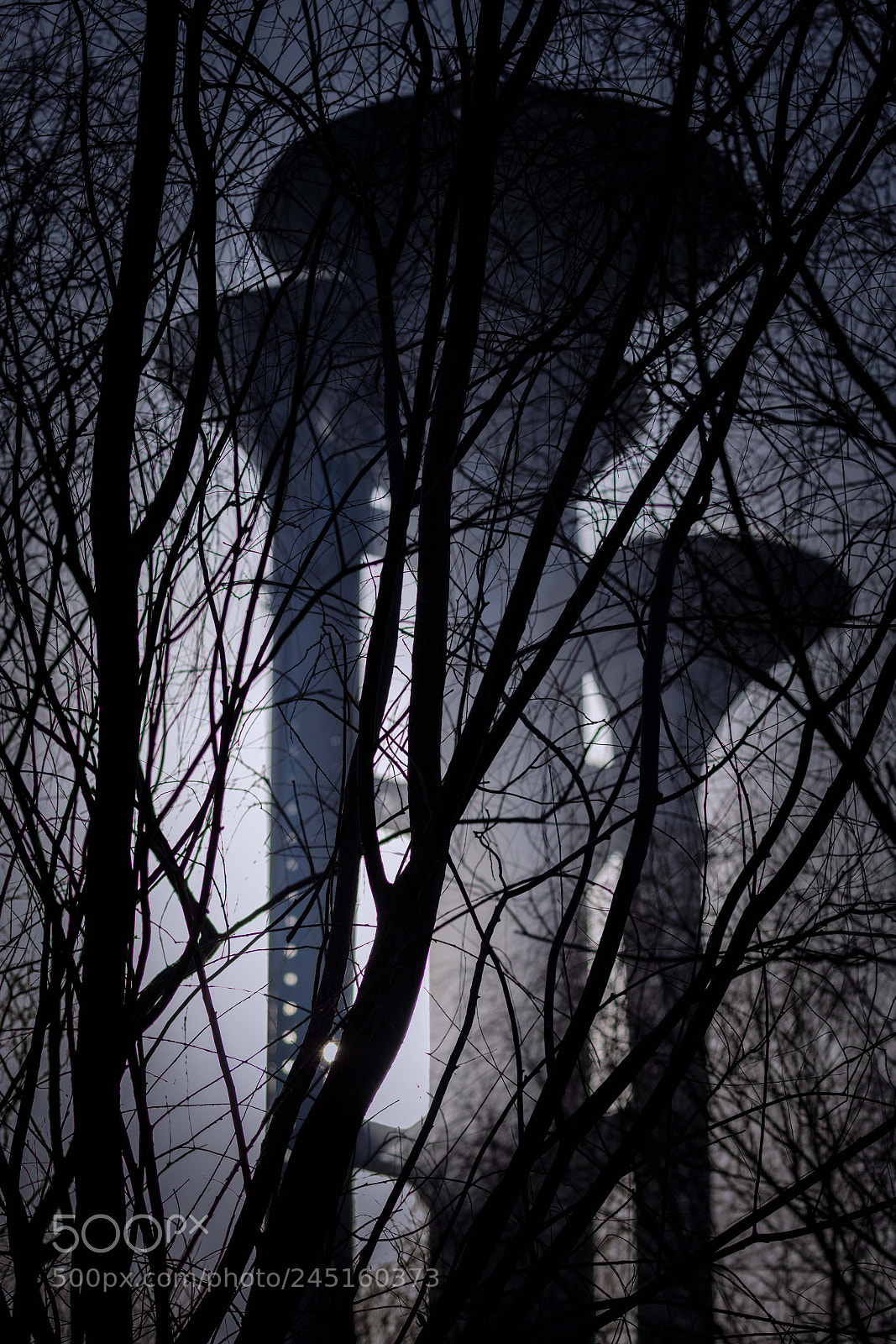 Canon EOS 5DS R sample photo. 北京奥运塔 photography