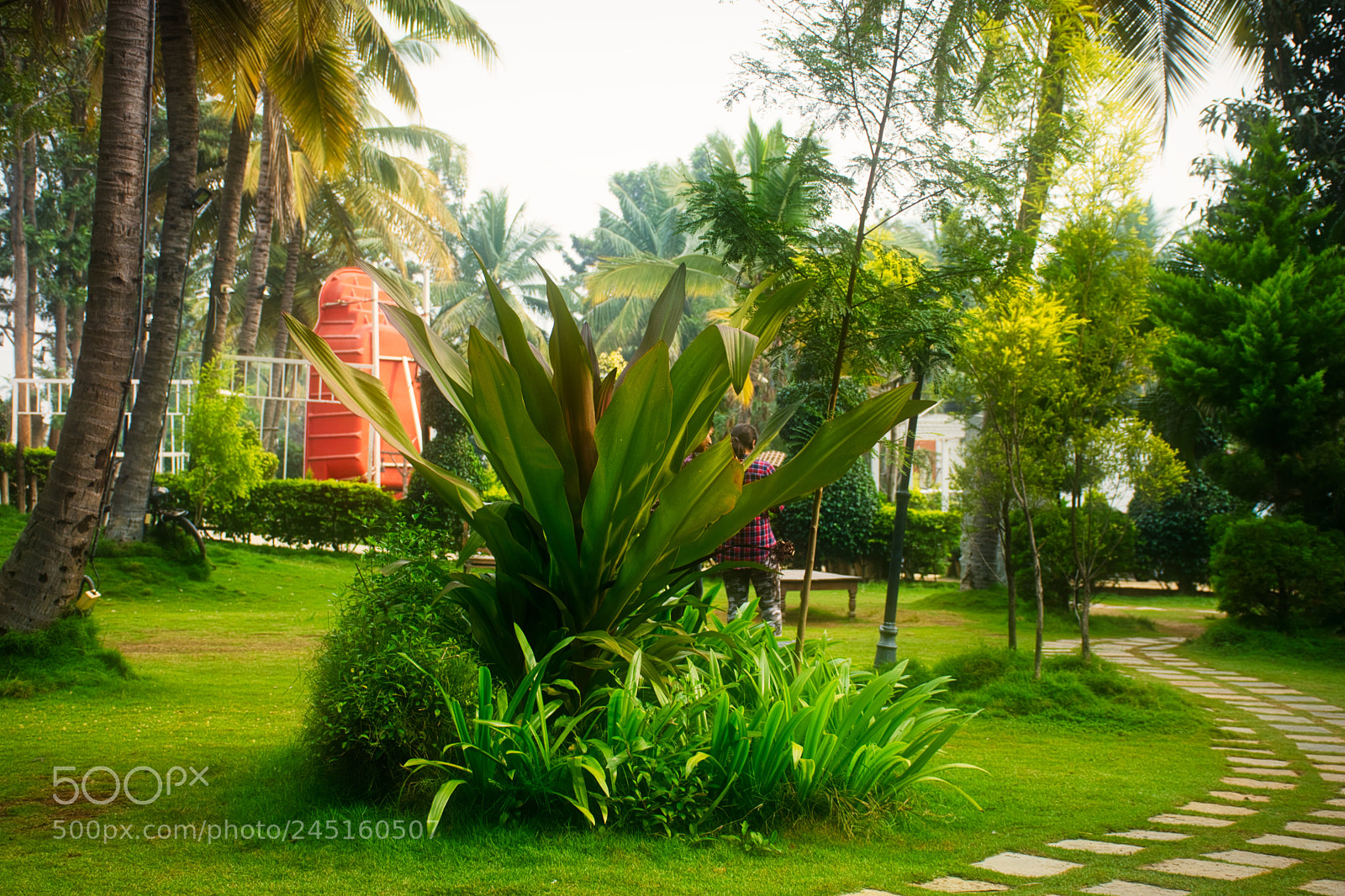 Nikon D7100 sample photo. Day trek photography