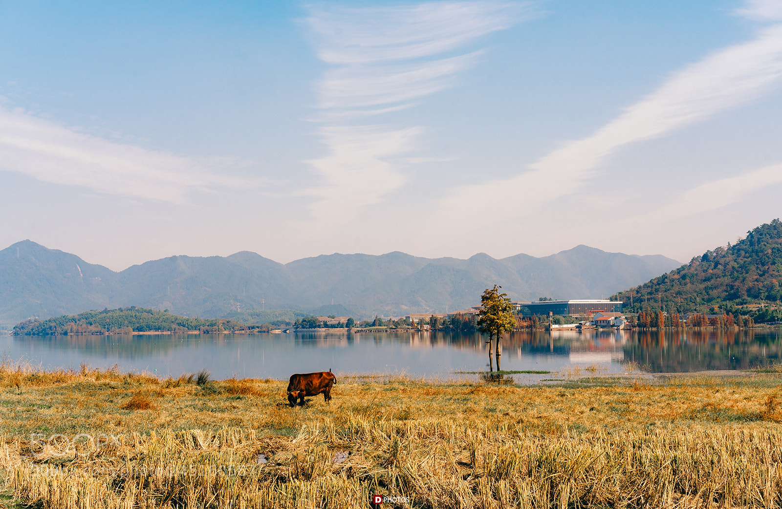 Sony a7R II sample photo. A peaceful day photography