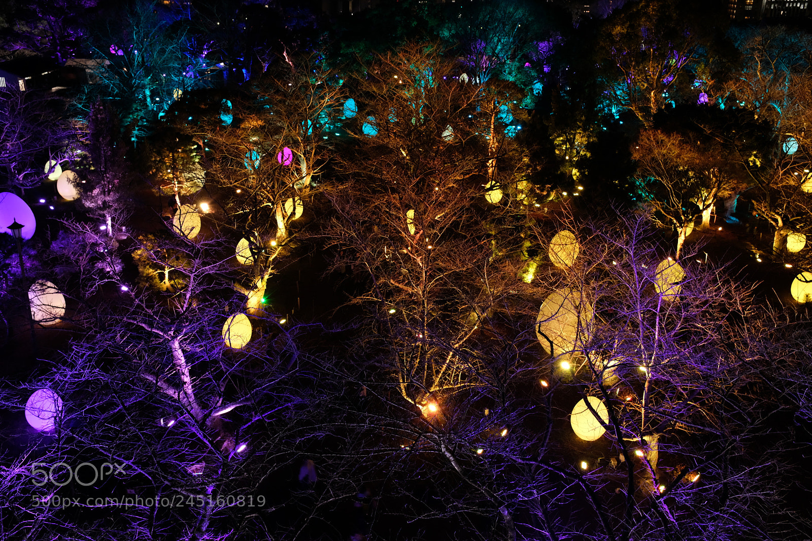 Fujifilm X100F sample photo. Egg lightup photography