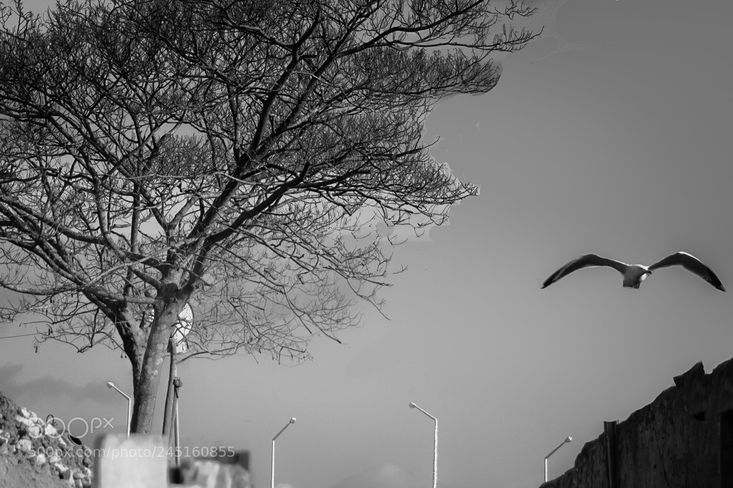 Nikon D5200 sample photo. Tales of life (37) photography