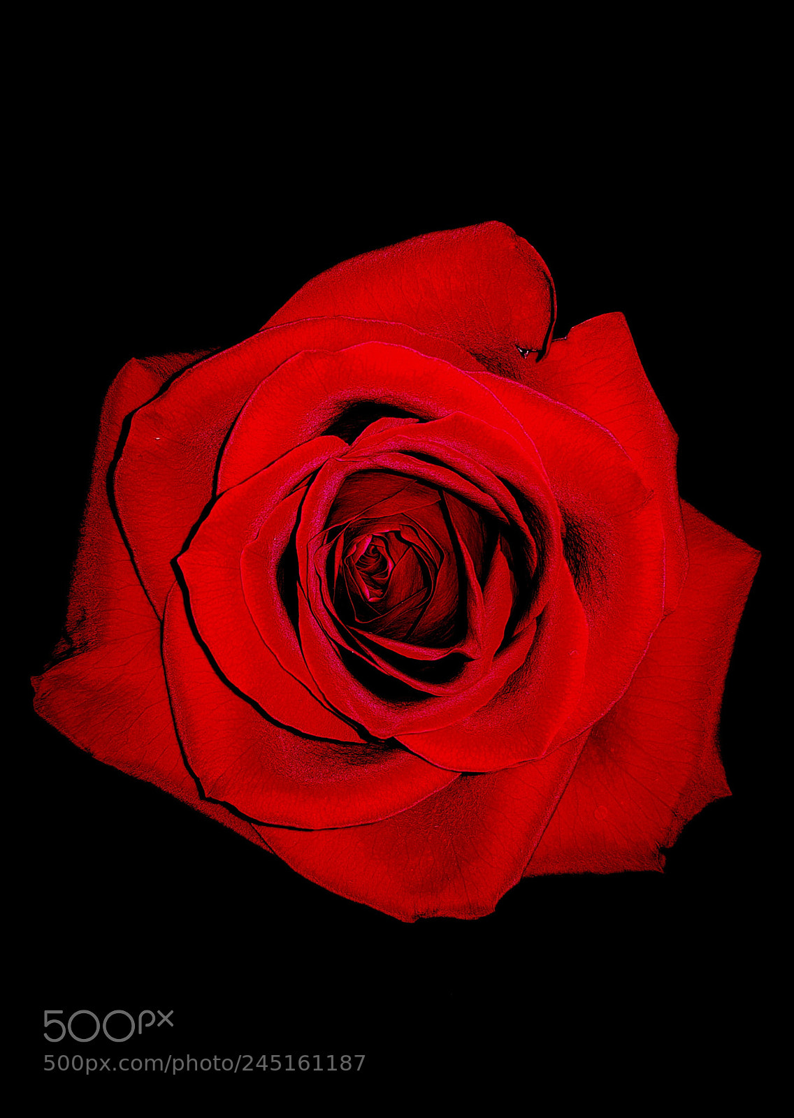 Samsung Galaxy S8+ sample photo. Beauty photography