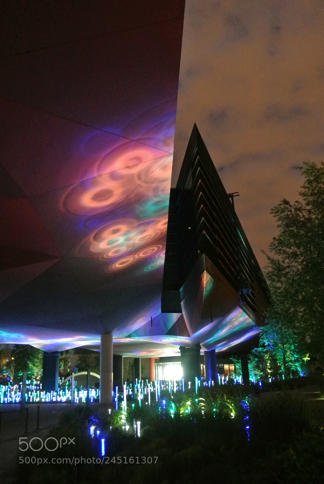 Nikon 1 V1 sample photo. La nuit en couleur. photography