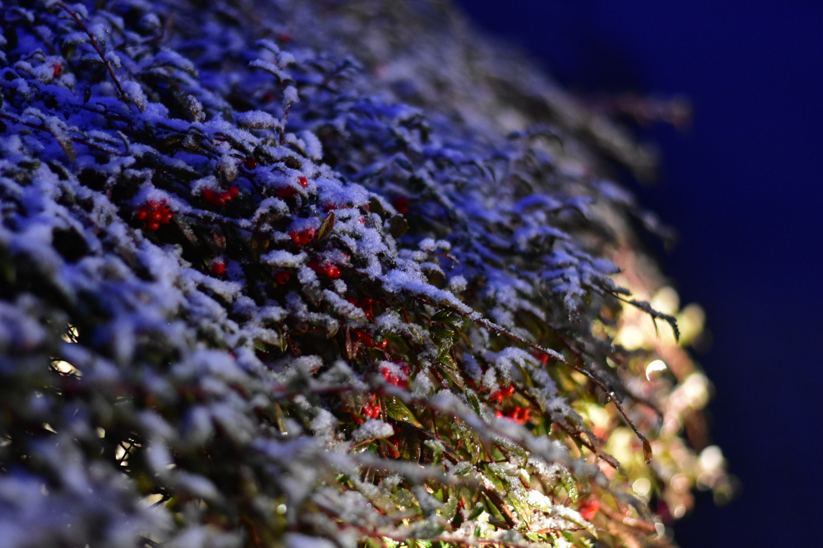 Nikon D3400 + Nikon AF-S Nikkor 50mm F1.8G sample photo. Inverno all’improvviso .. photography