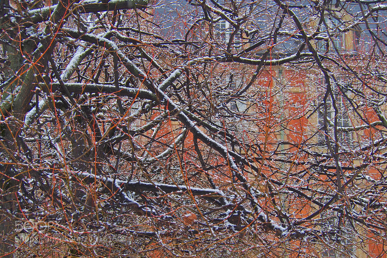 Olympus PEN E-PL6 sample photo. Canvas & pattern photography