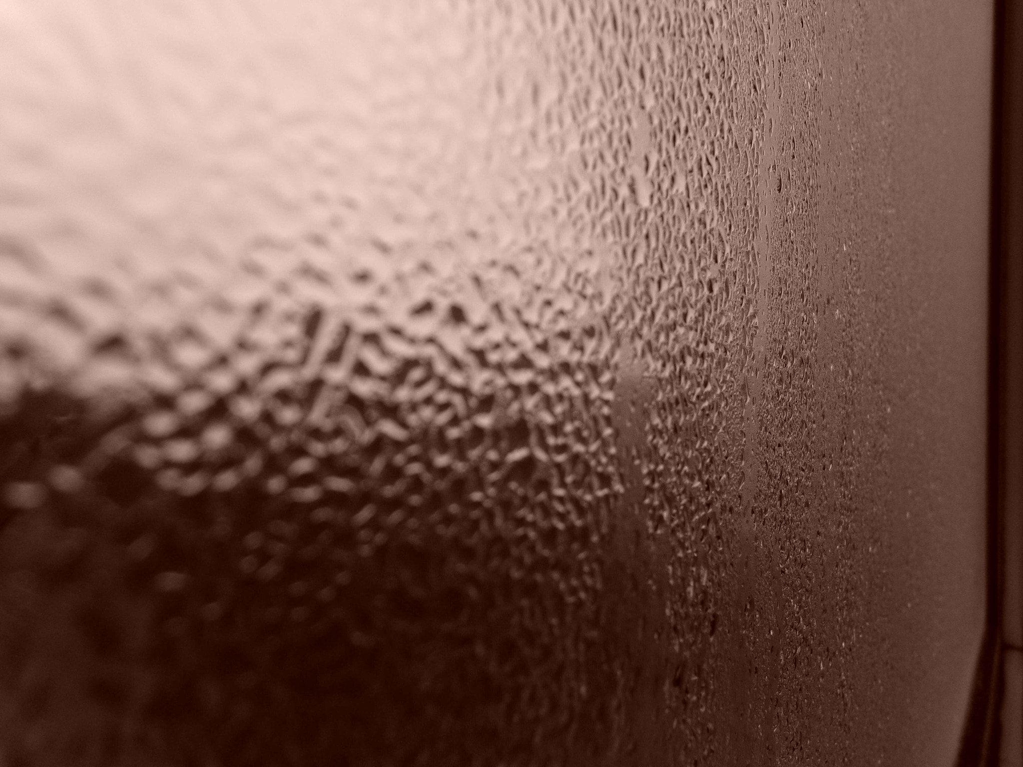 Kodak PIXPRO AZ251 sample photo. Kodak digital still camera photography