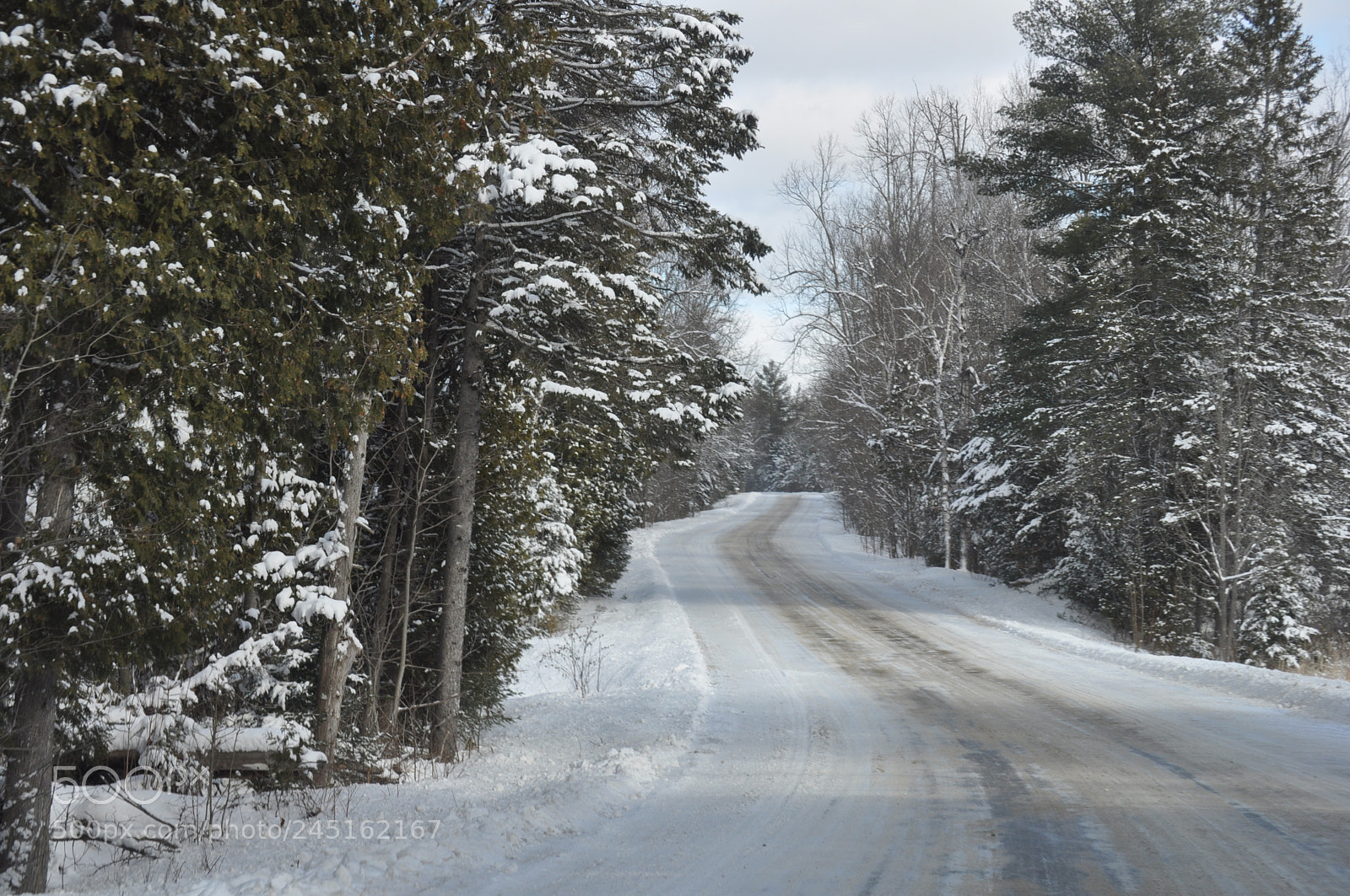 Nikon D5000 sample photo. Long winding road to photography