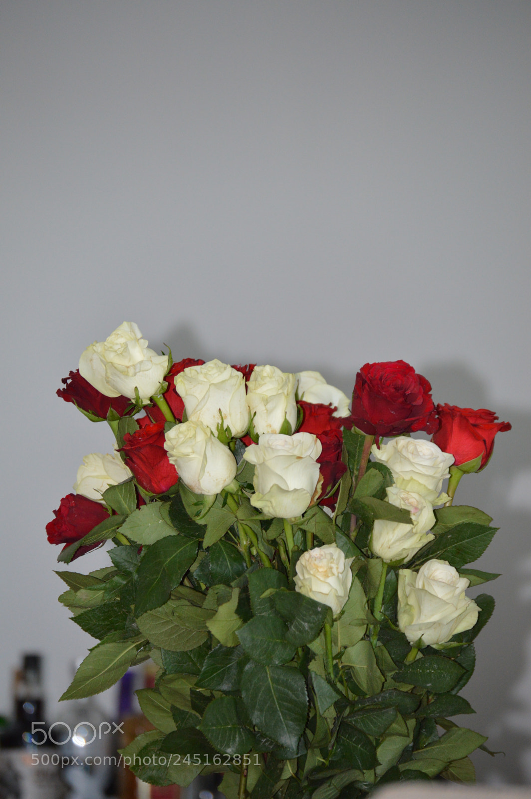 Nikon D3200 sample photo. Dsc photography