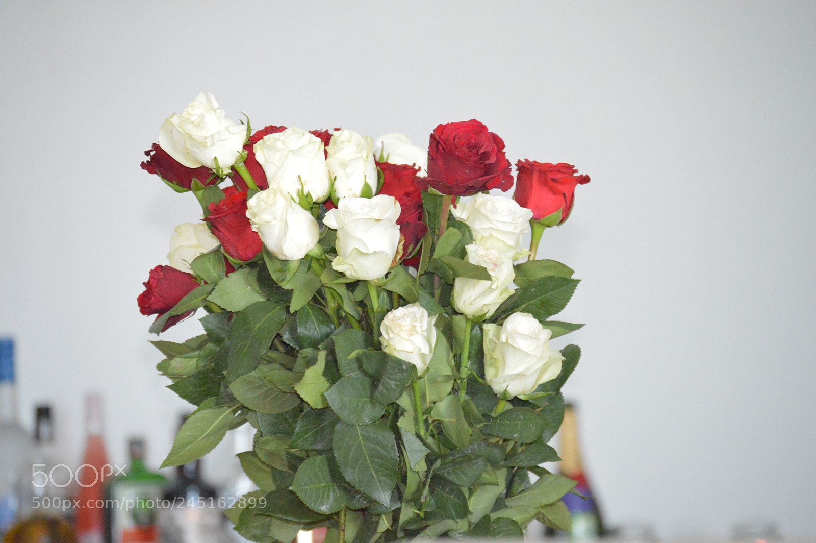 Nikon D3200 sample photo. Dsc photography