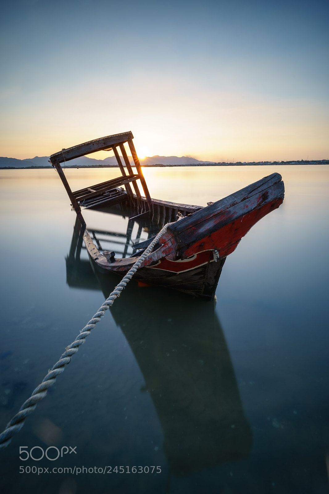 Sony a7 II sample photo. Half drowned photography