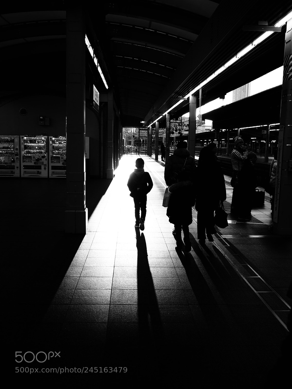 Olympus OM-D E-M1 sample photo. Light and shadow! photography