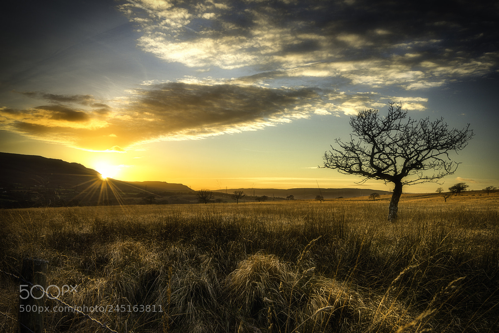 Nikon D800 sample photo. Warm sunset on a photography