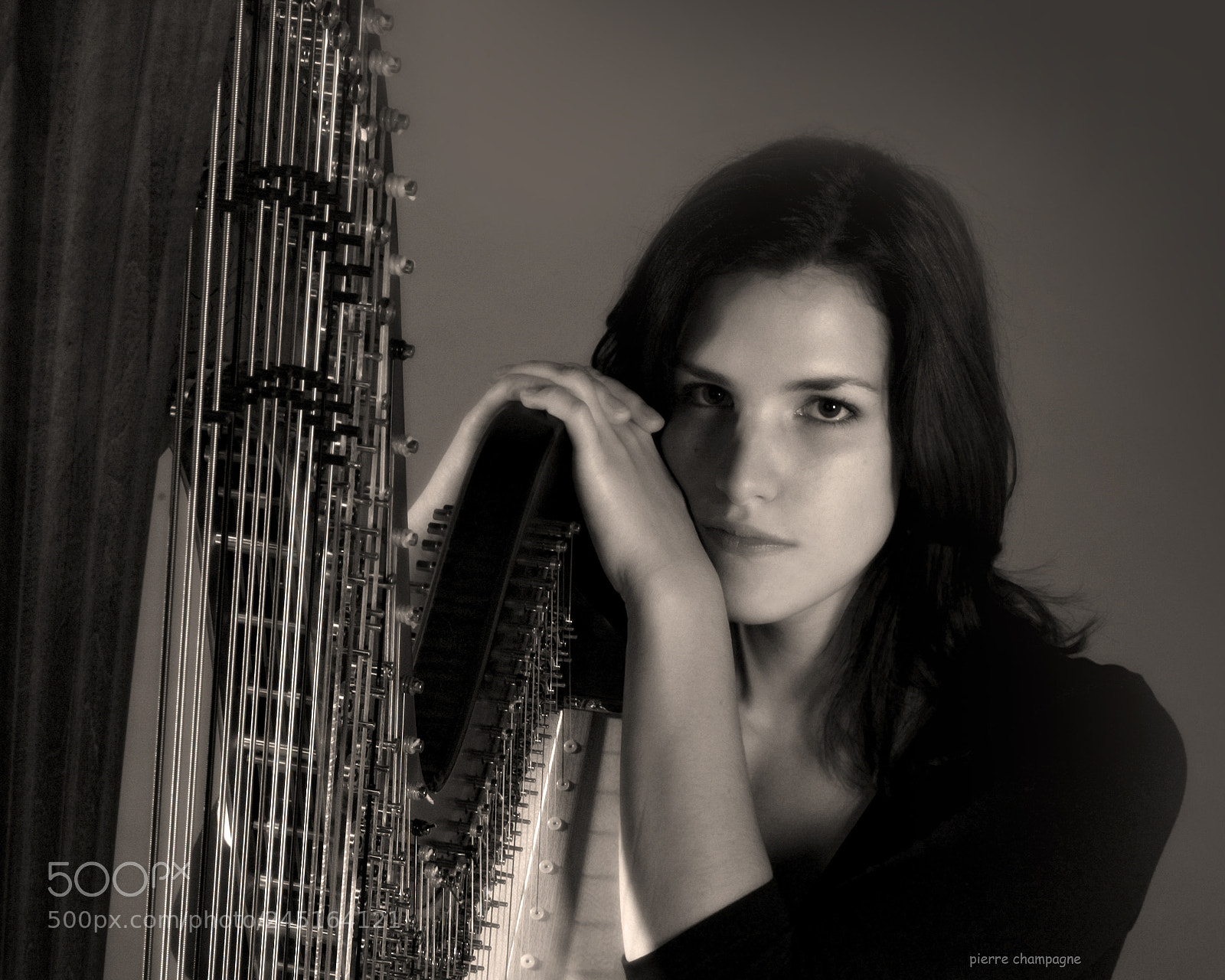 Nikon D70 sample photo. The harpist photography