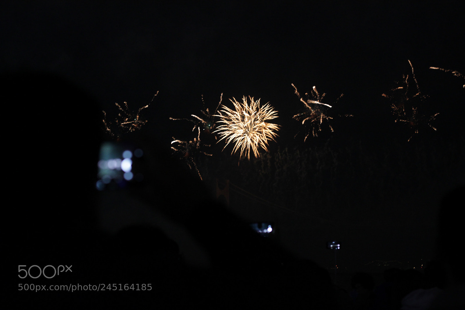 Canon EOS 500D (EOS Rebel T1i / EOS Kiss X3) sample photo. Busan fireworks festival photography