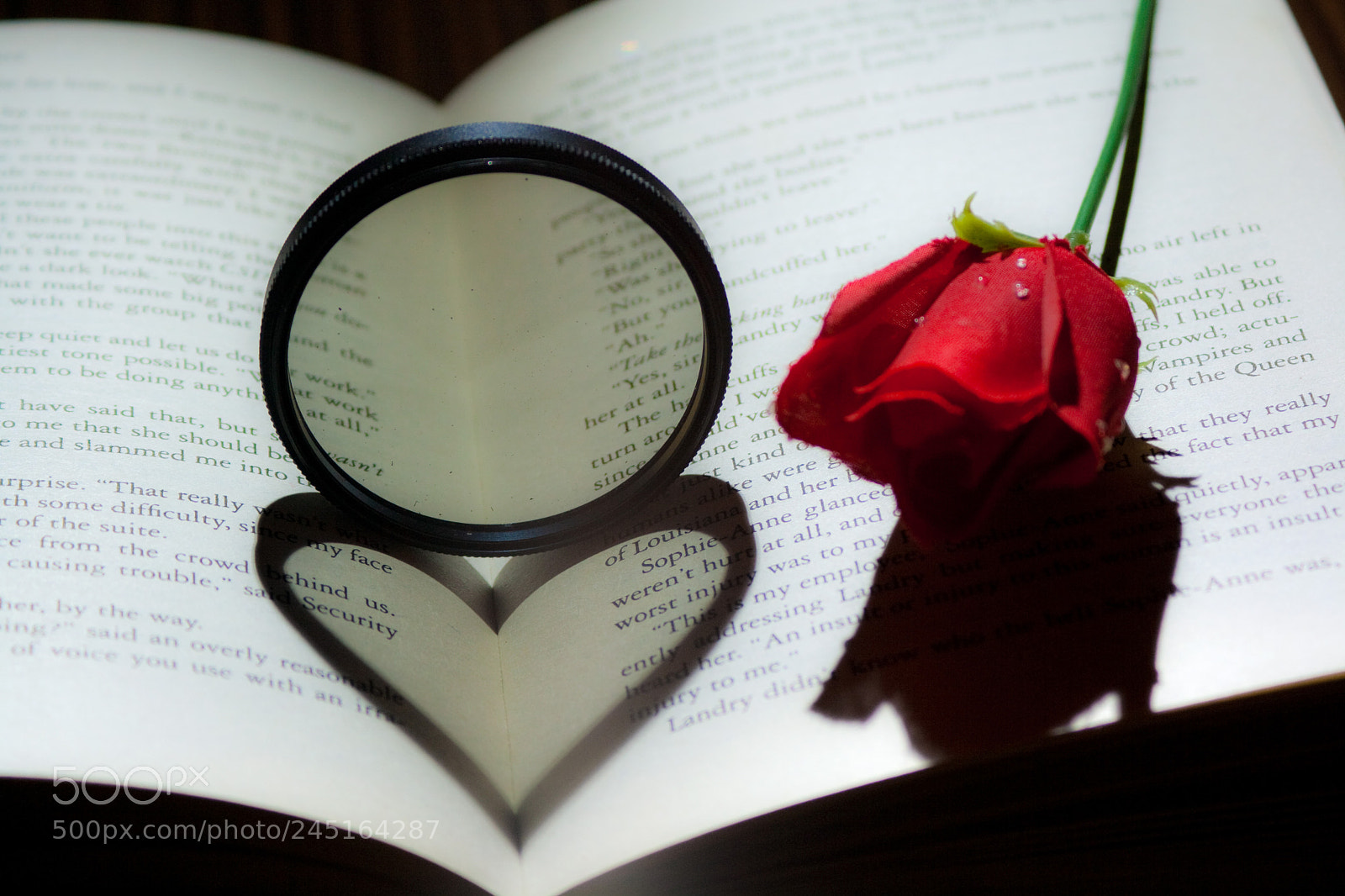 Canon EOS 1000D (EOS Digital Rebel XS / EOS Kiss F) sample photo. Filtered love photography