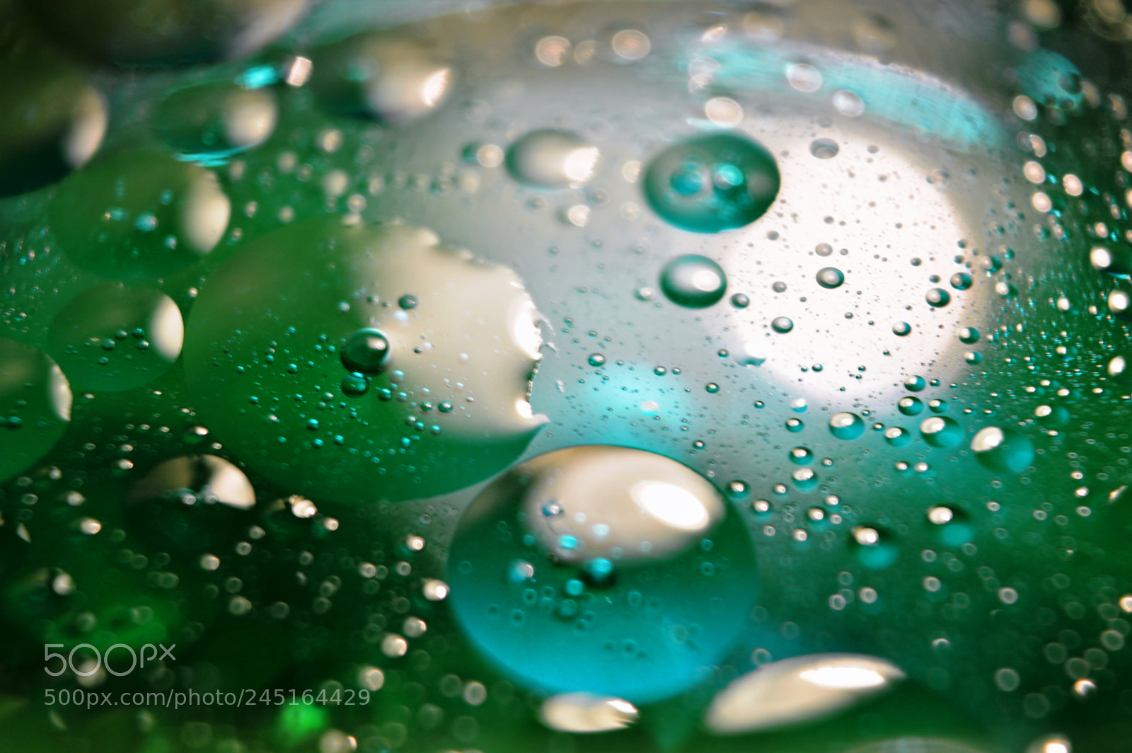 Nikon D3200 sample photo. The macro dimension photography