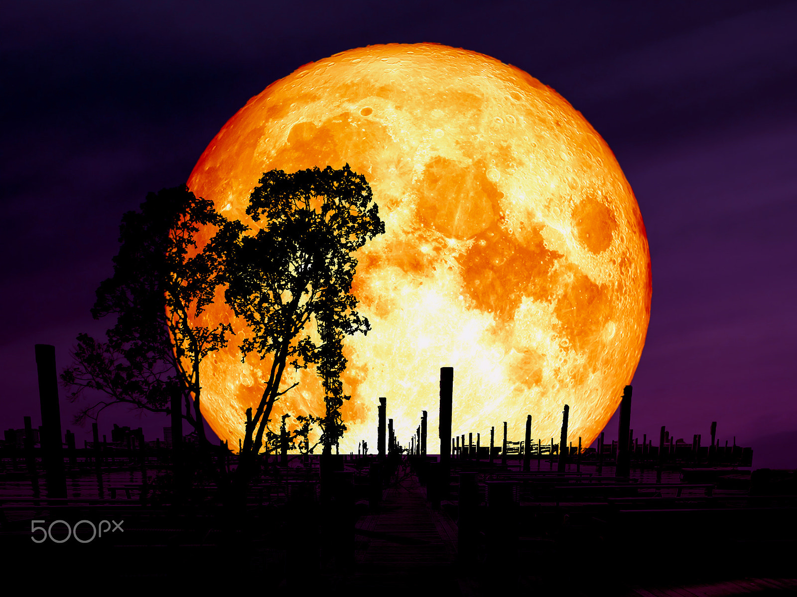 Samsung WB250F/WB251F/WB252F sample photo. Super blue blood moon over abandon pier silhouette tree photography