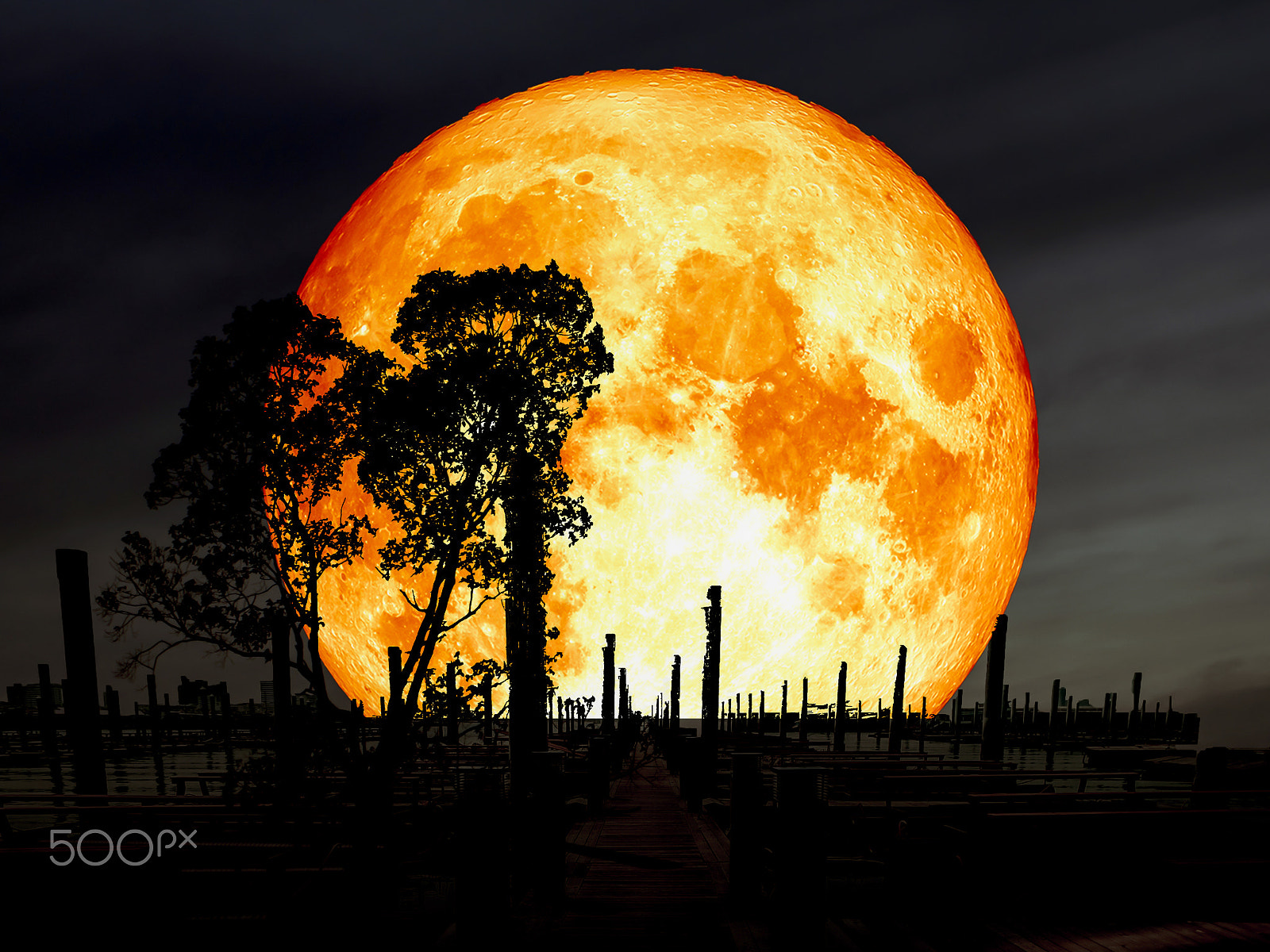 Samsung WB250F/WB251F/WB252F sample photo. Super blue blood moon over abandon pier silhouette tree photography