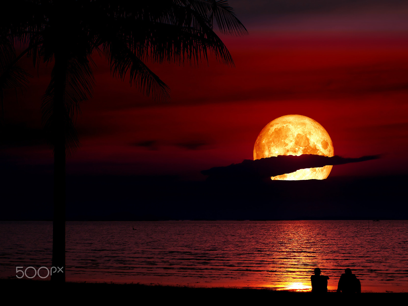 Samsung WB250F/WB251F/WB252F sample photo. Super blue blood moon silhouette coconut men looking moon photography