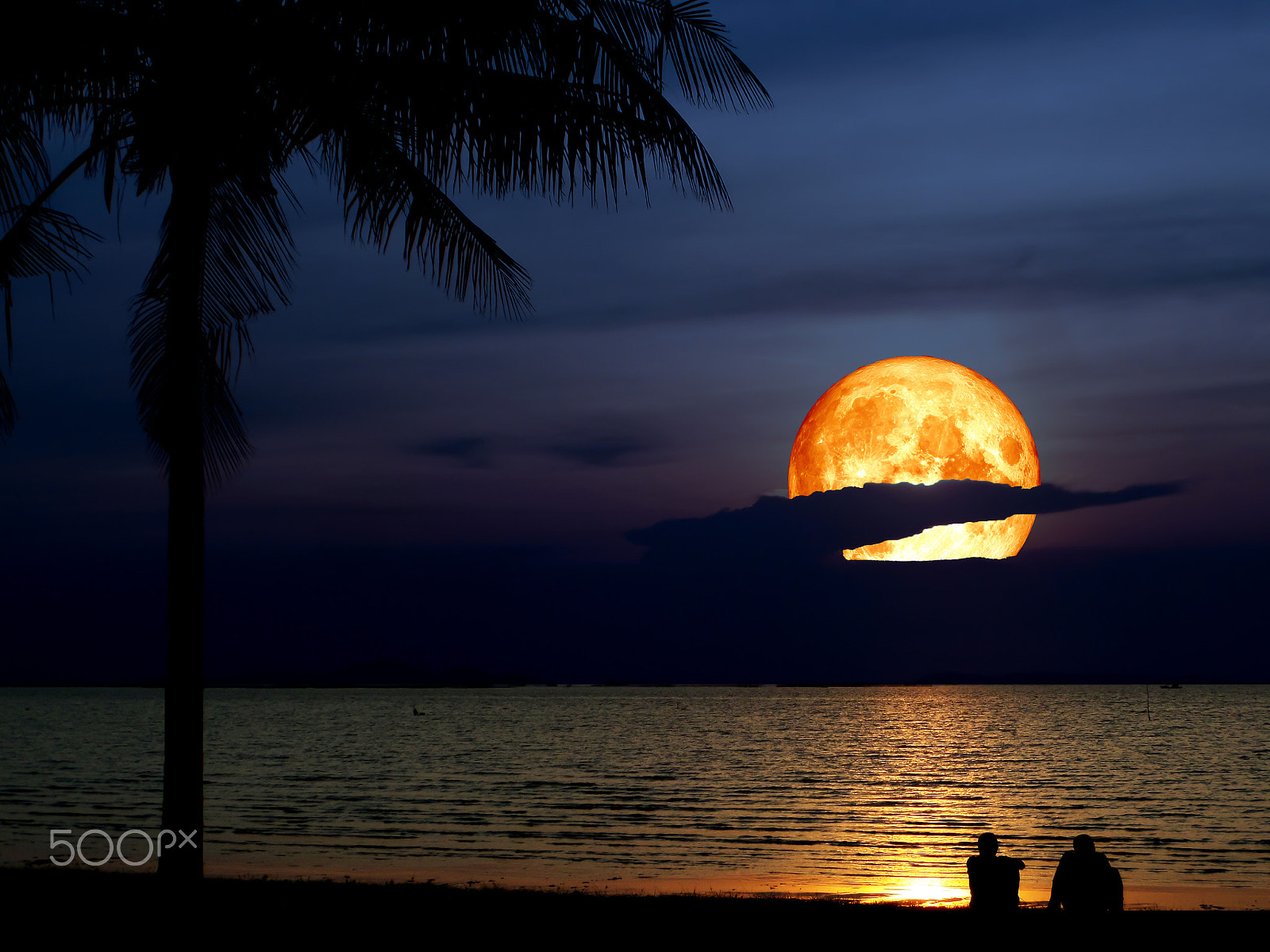 Samsung WB250F/WB251F/WB252F sample photo. Super blue blood moon and silhouette coconut two men look the moon photography