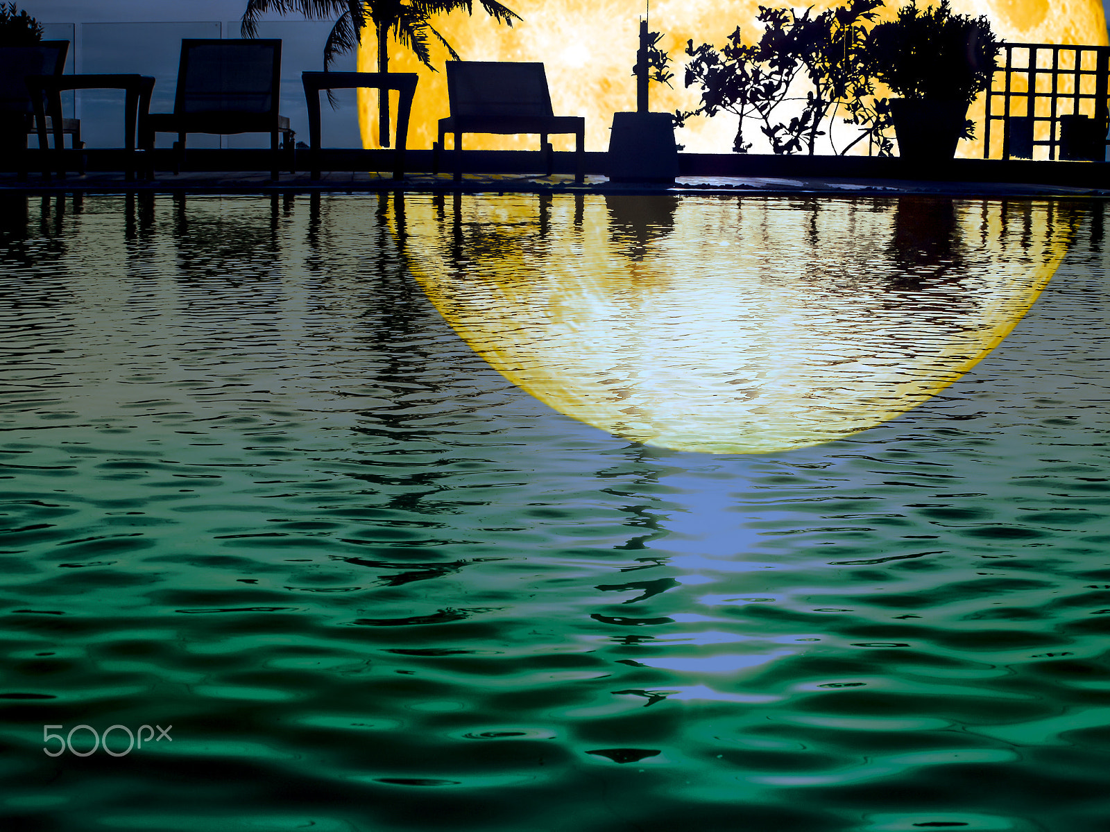 Samsung WB250F/WB251F/WB252F sample photo. Super blood moon silhouette plant reflection on pool photography