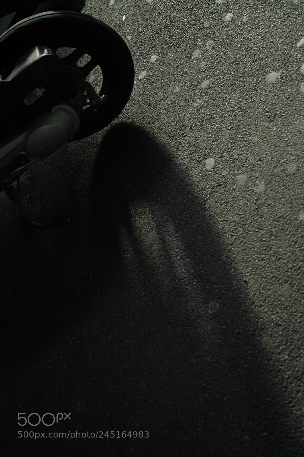 Sigma DP2 Merrill sample photo. A shadow in a photography