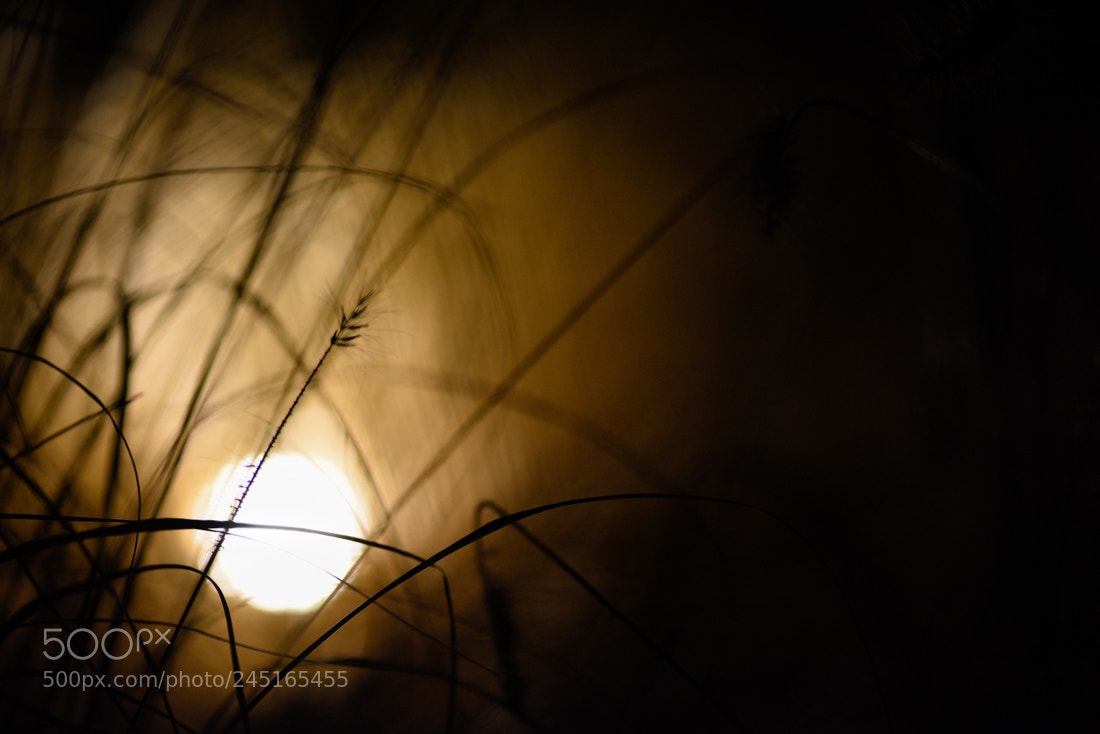 Nikon D810 sample photo. Light and darkness 1 photography