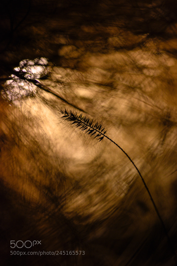 Nikon D810 sample photo. Light and darkness 2 photography