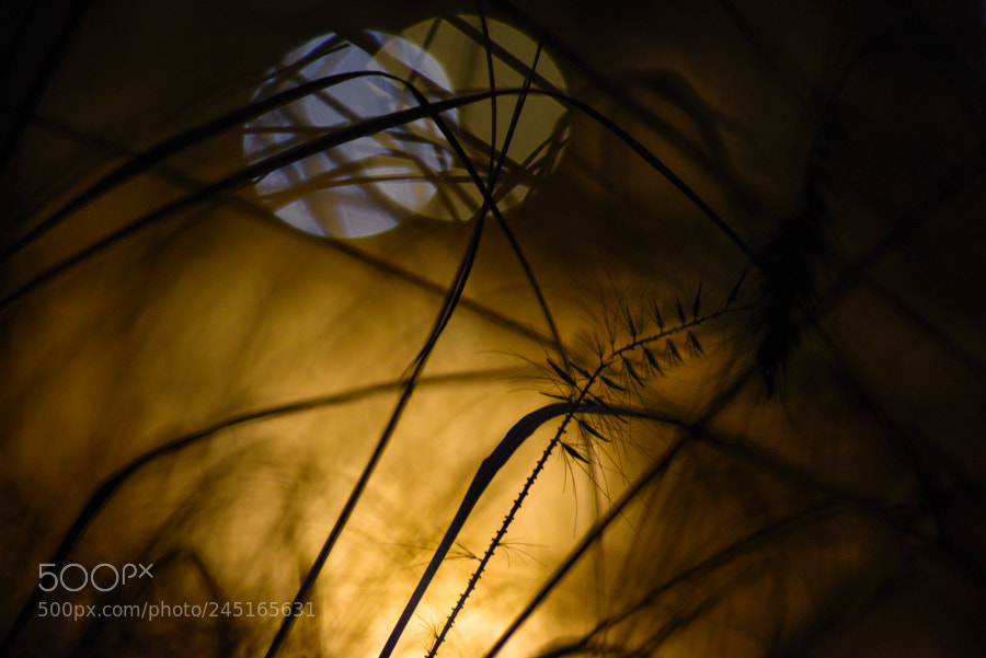 Nikon D810 sample photo. Light and darkness 3 photography