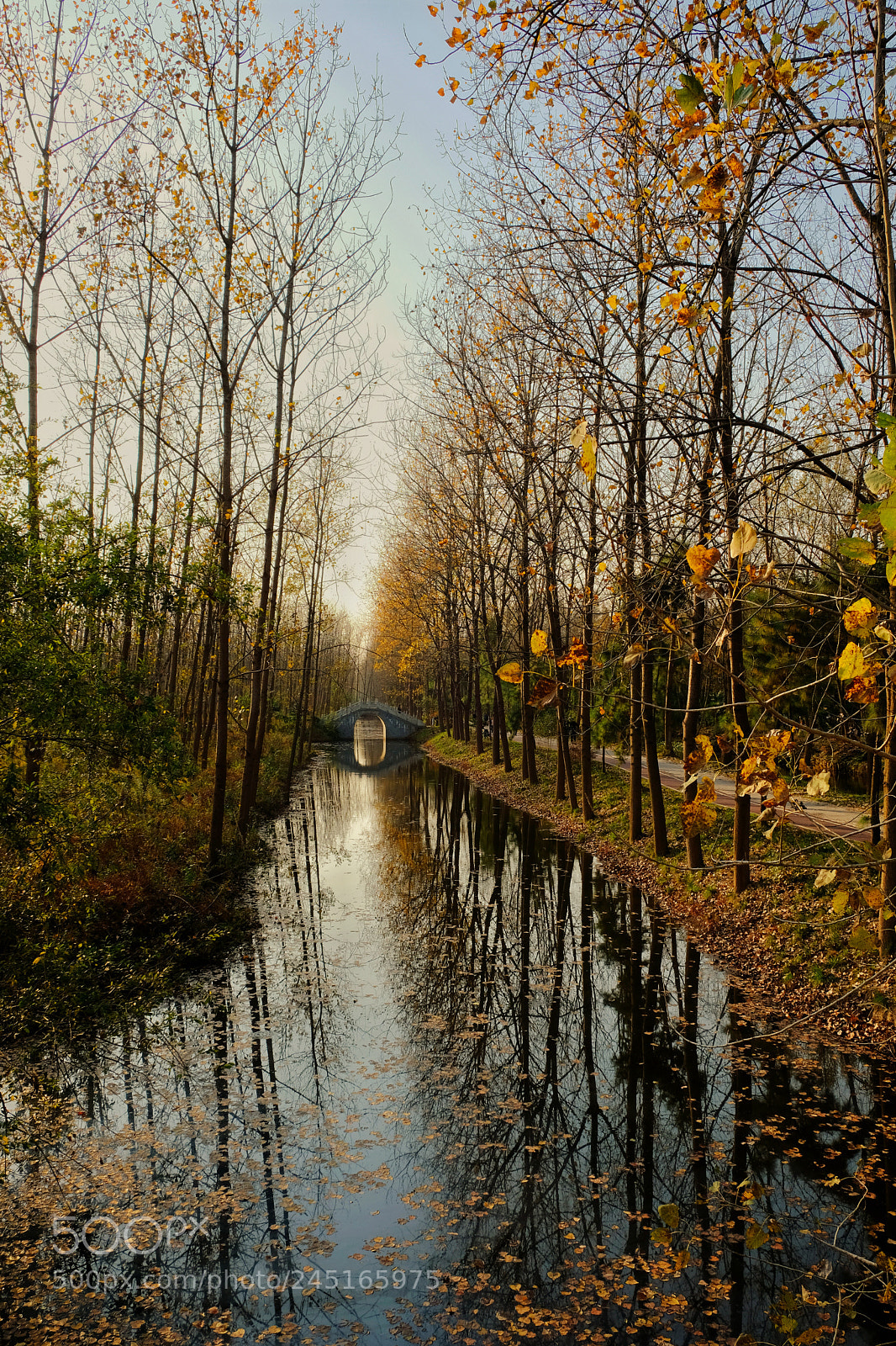 Fujifilm X-T20 sample photo. Hefei autumn photography