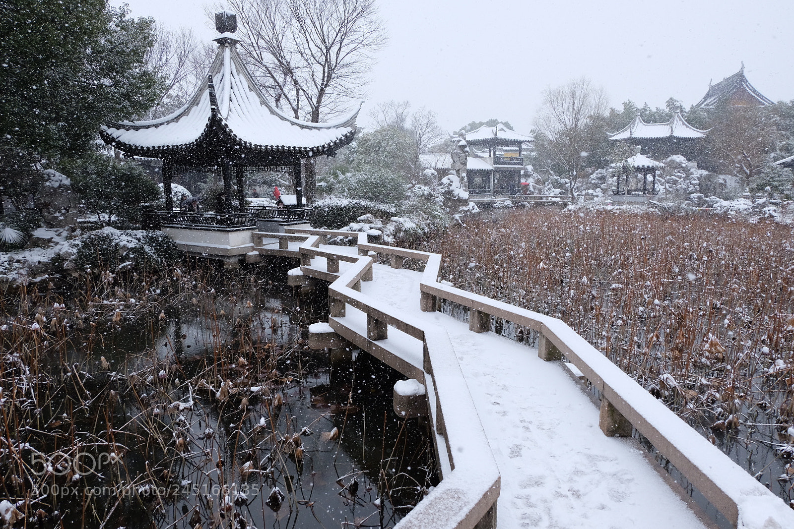 Fujifilm X-T10 sample photo. Look at the snow photography