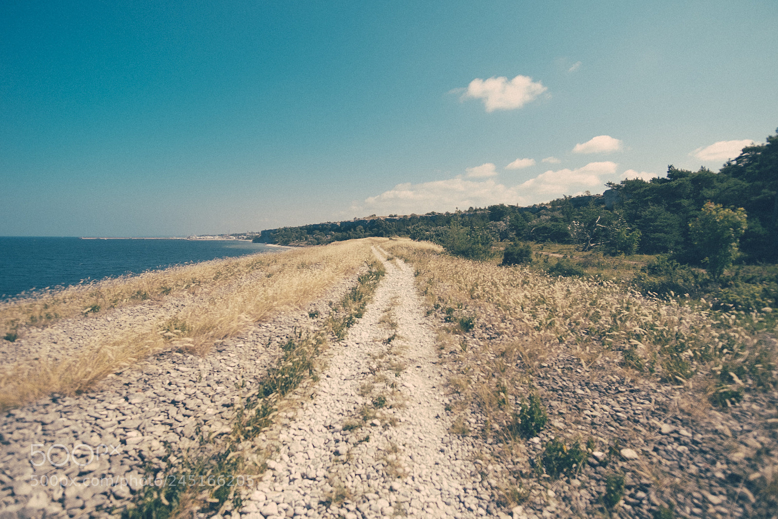 Fujifilm X-T1 sample photo. Gotland photography