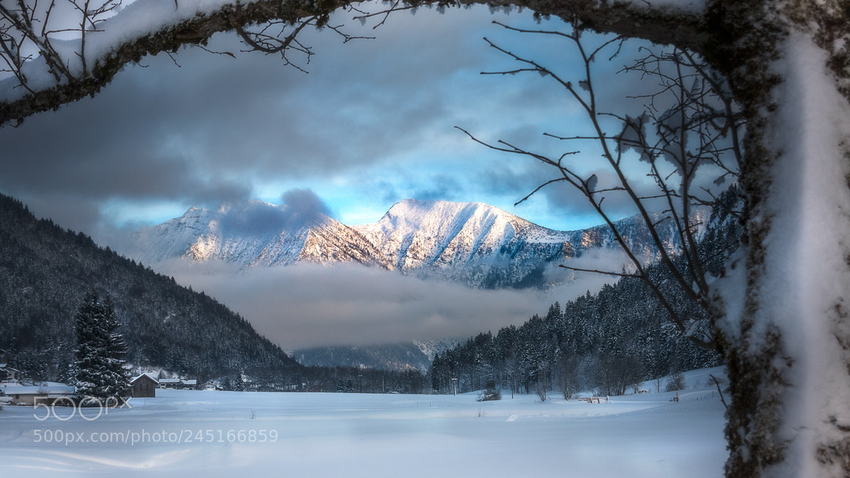 Canon EOS 40D sample photo. Winterland photography