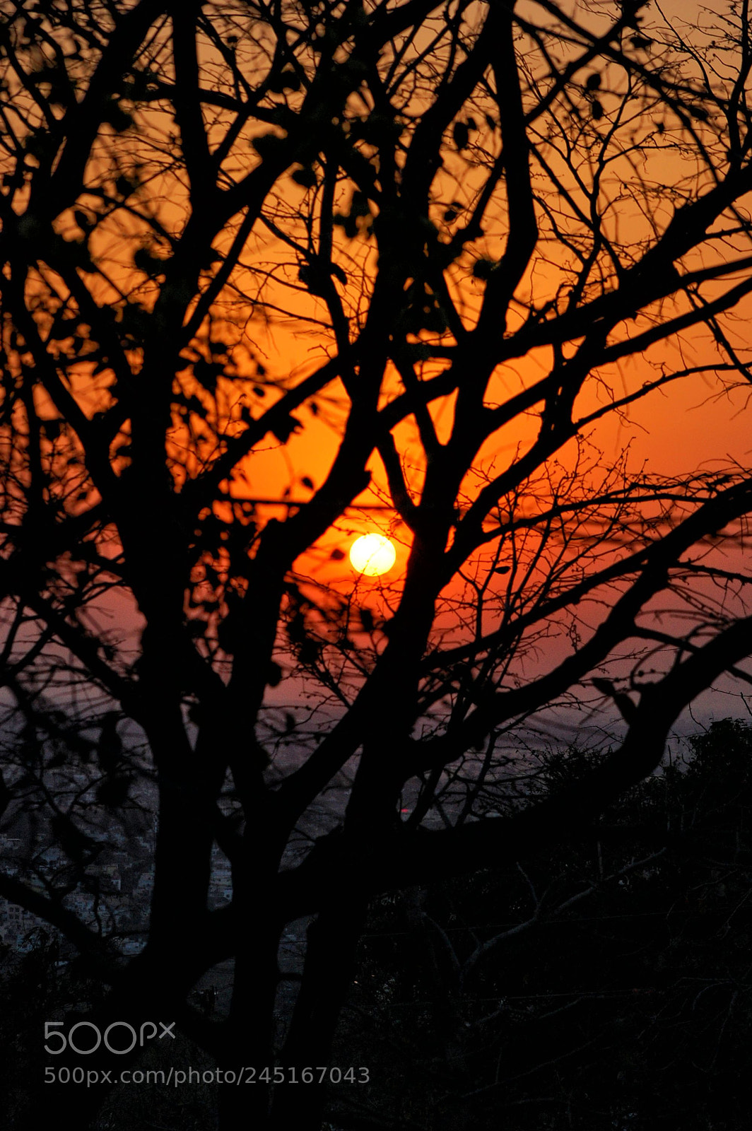 Nikon D40 sample photo. Sunset photography