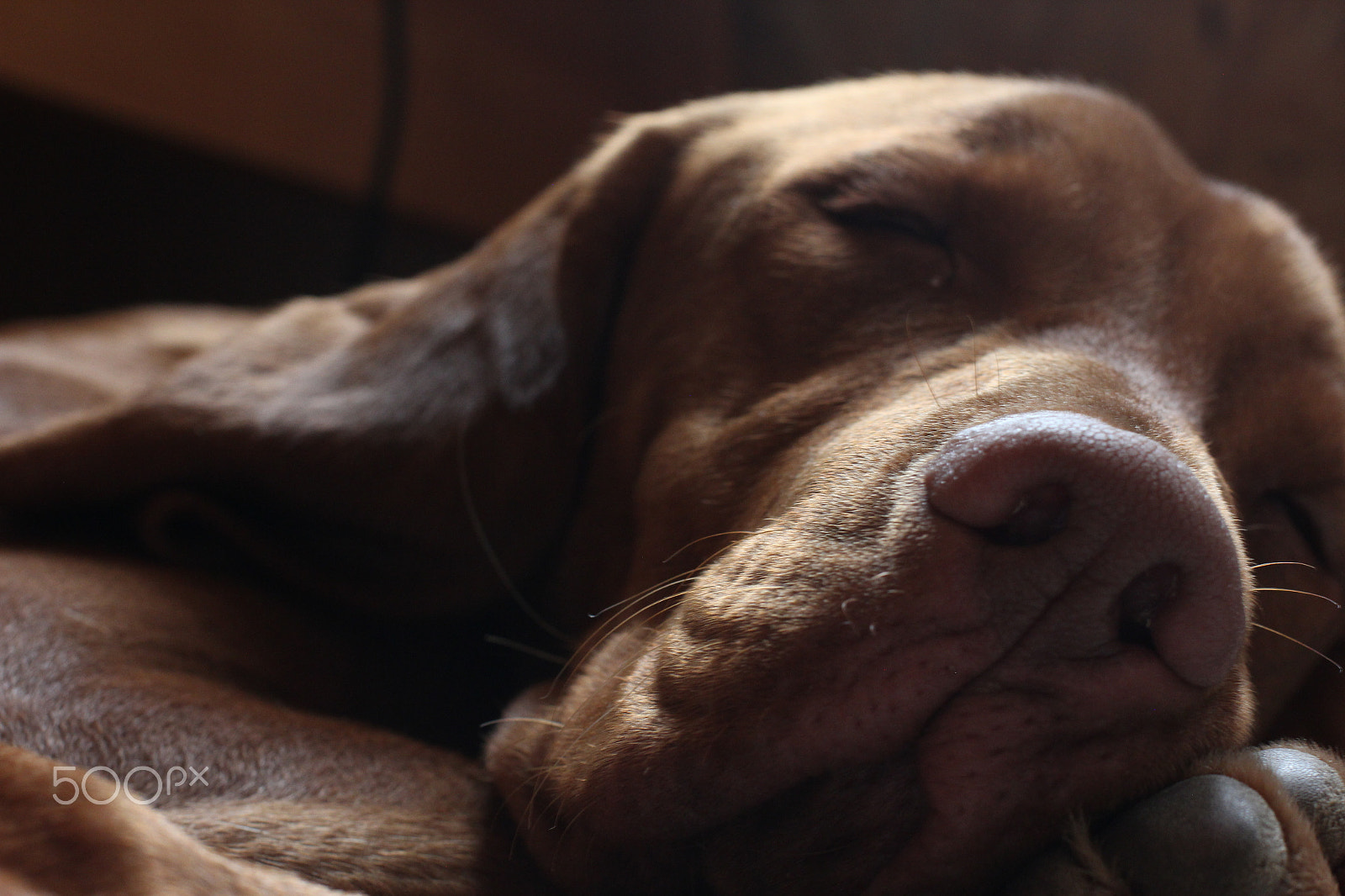 Canon EOS 60D + Canon EF 50mm F1.4 USM sample photo. Deep dream photography