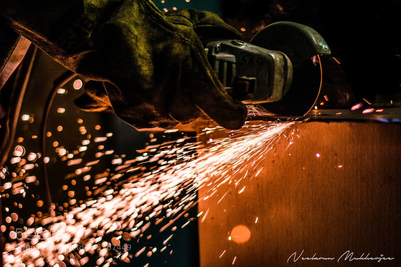 Nikon D5200 sample photo. Cut photography