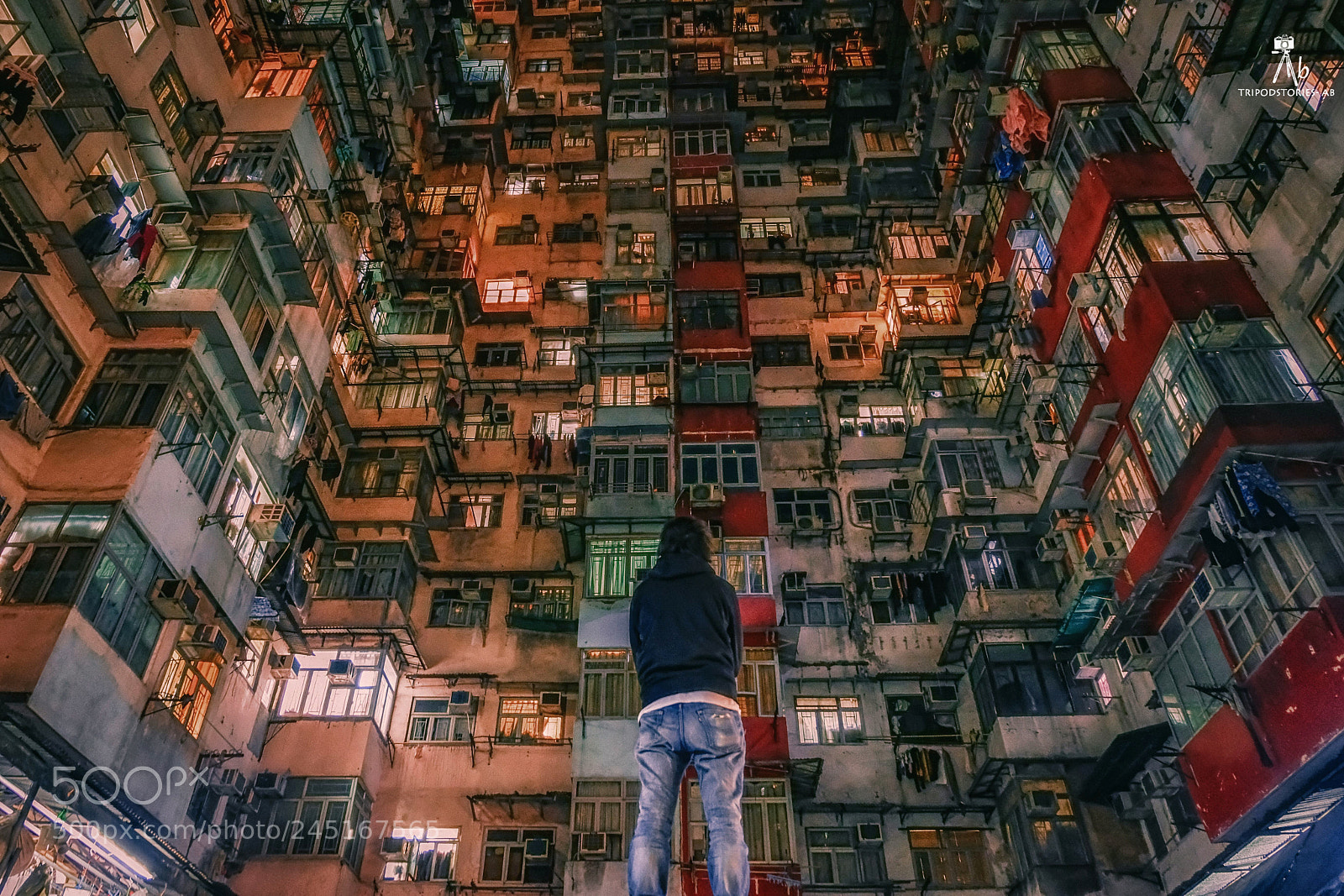 Fujifilm X-T20 sample photo. Trapped photography