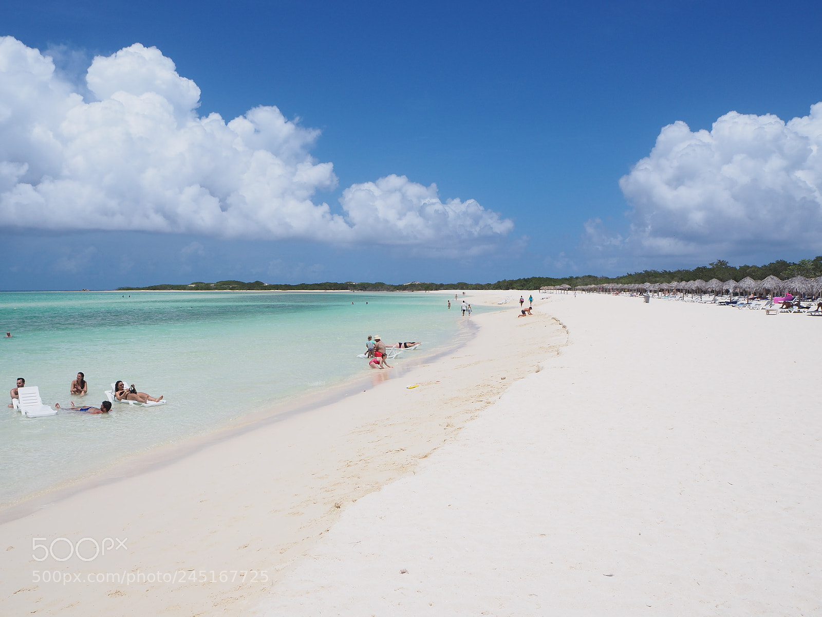 Olympus OM-D E-M10 II sample photo. Cayo coco, cuba photography